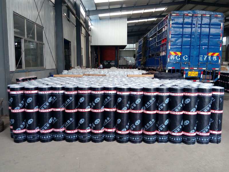 SBS��ˮ����